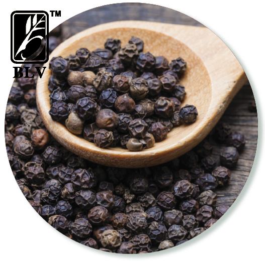 black_pepper