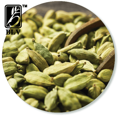cardamom
