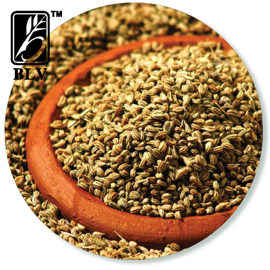 carom_ajwain
