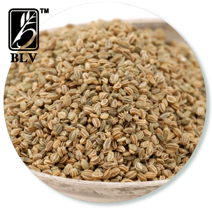 celery_seeds