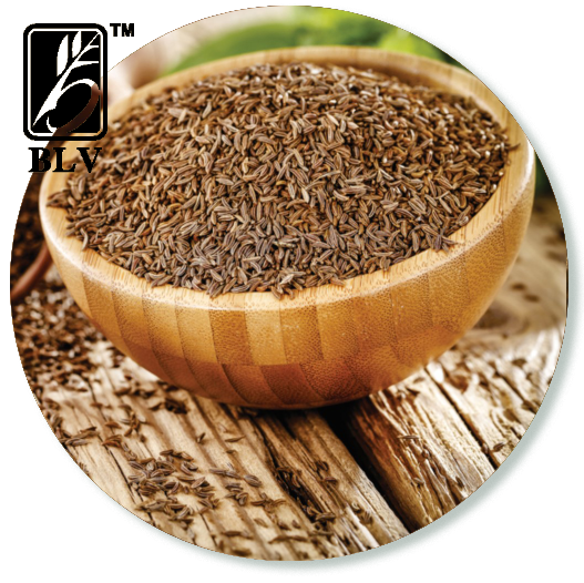 cumin