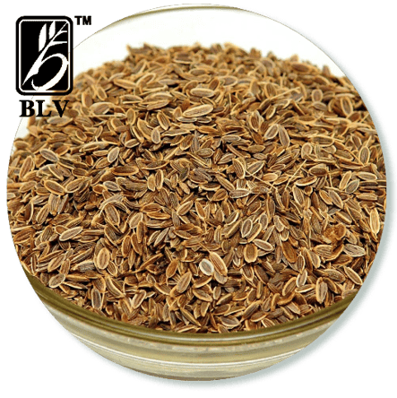 dill_seeds