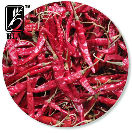 dry_red_chilli
