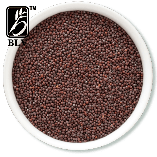 mustard_seeds