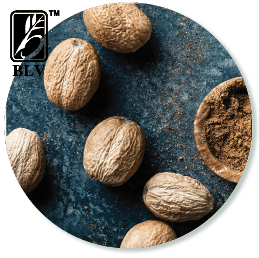 nutmeg