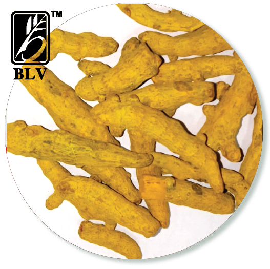 turmeric_fingers