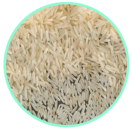 1509_golden_sella_basmati_rice (1)