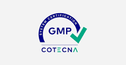 GMP